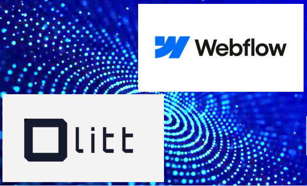 OLITT vs Webflow: Which Is Best Website Builder for You?