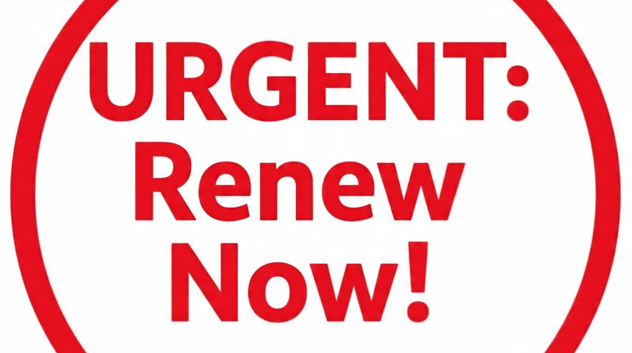 domain expiry checker