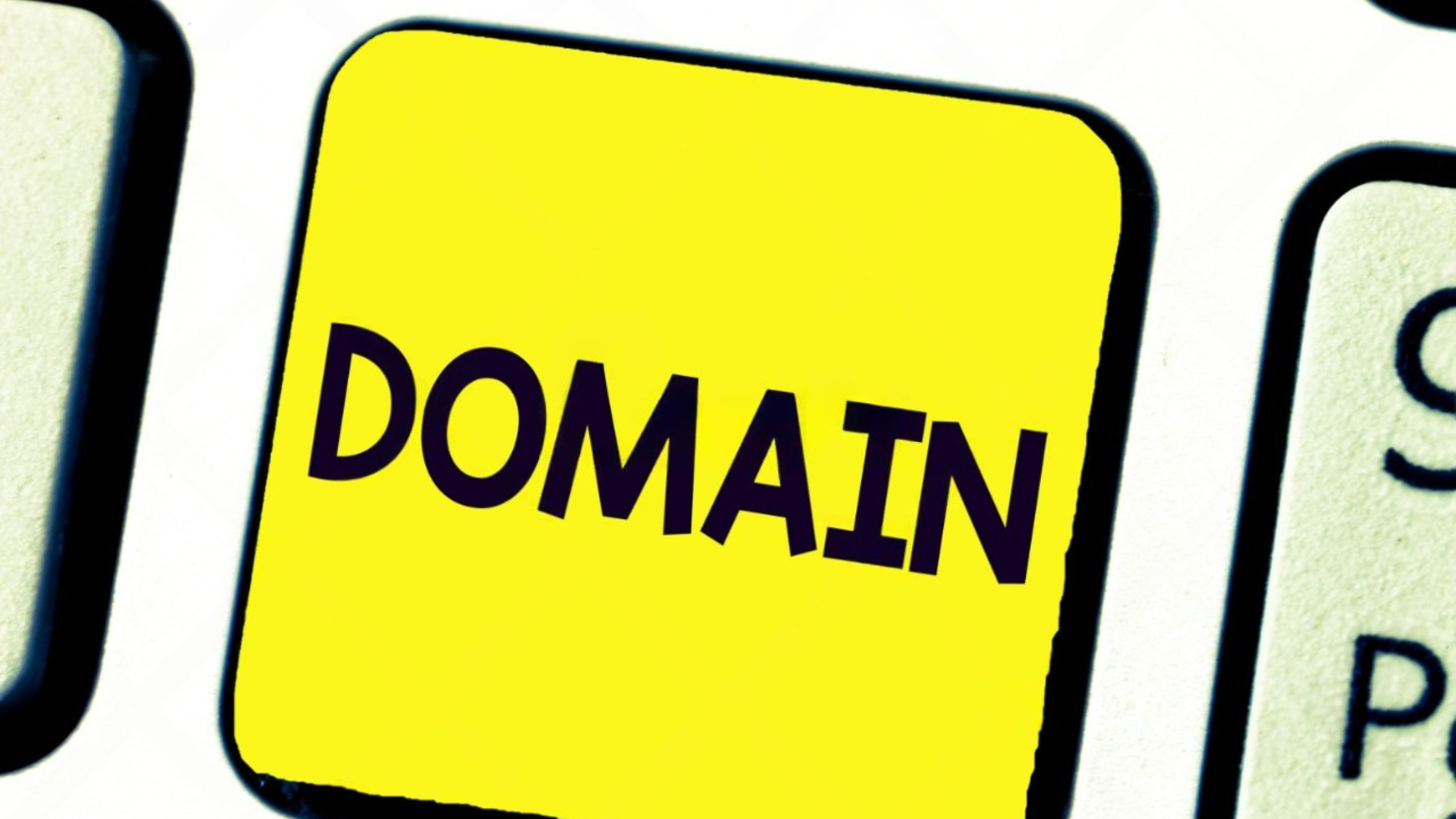 .org domain
